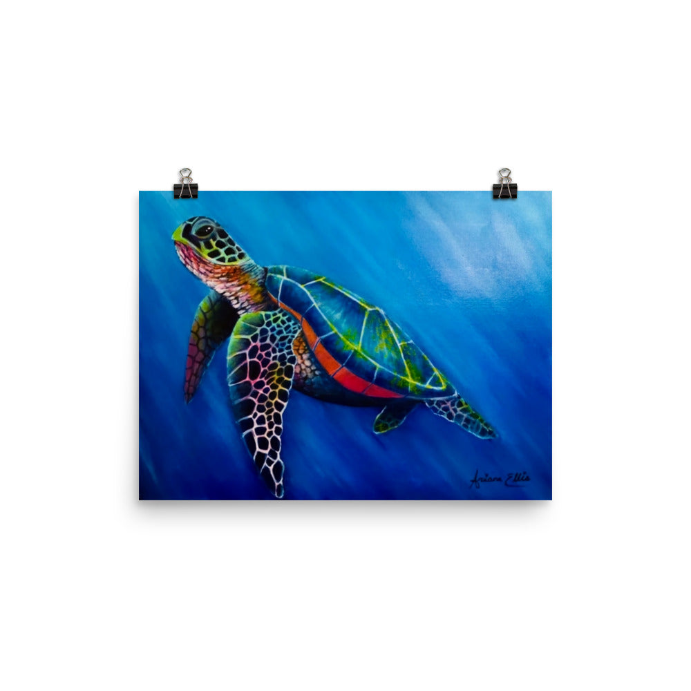 'Vibrant Turtle' matte print