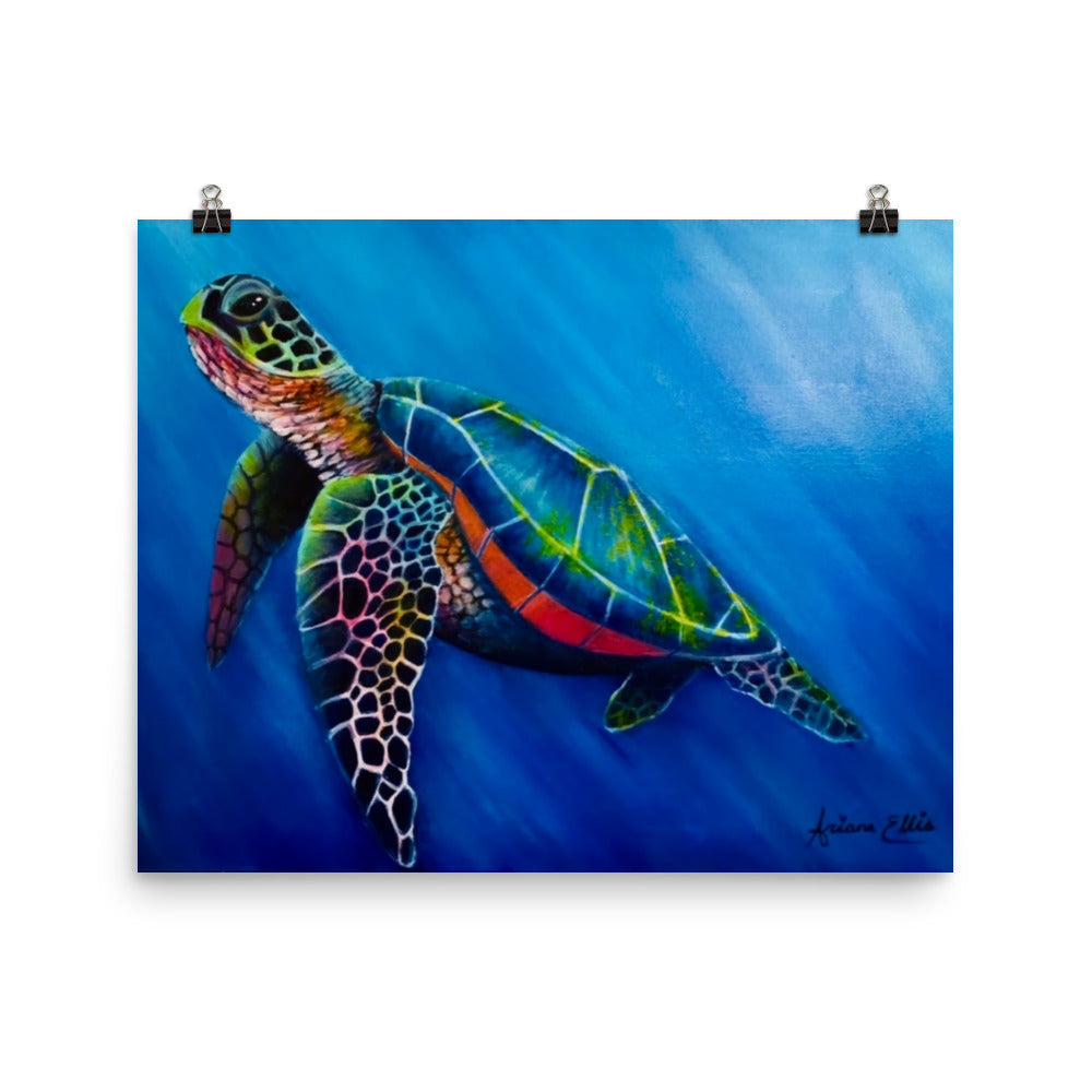 'Vibrant Turtle' matte print