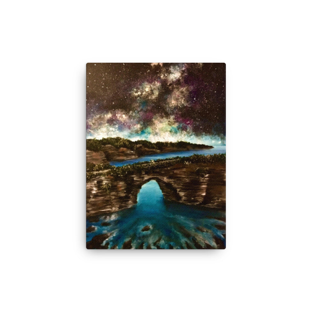 'Cosmos' canvas print