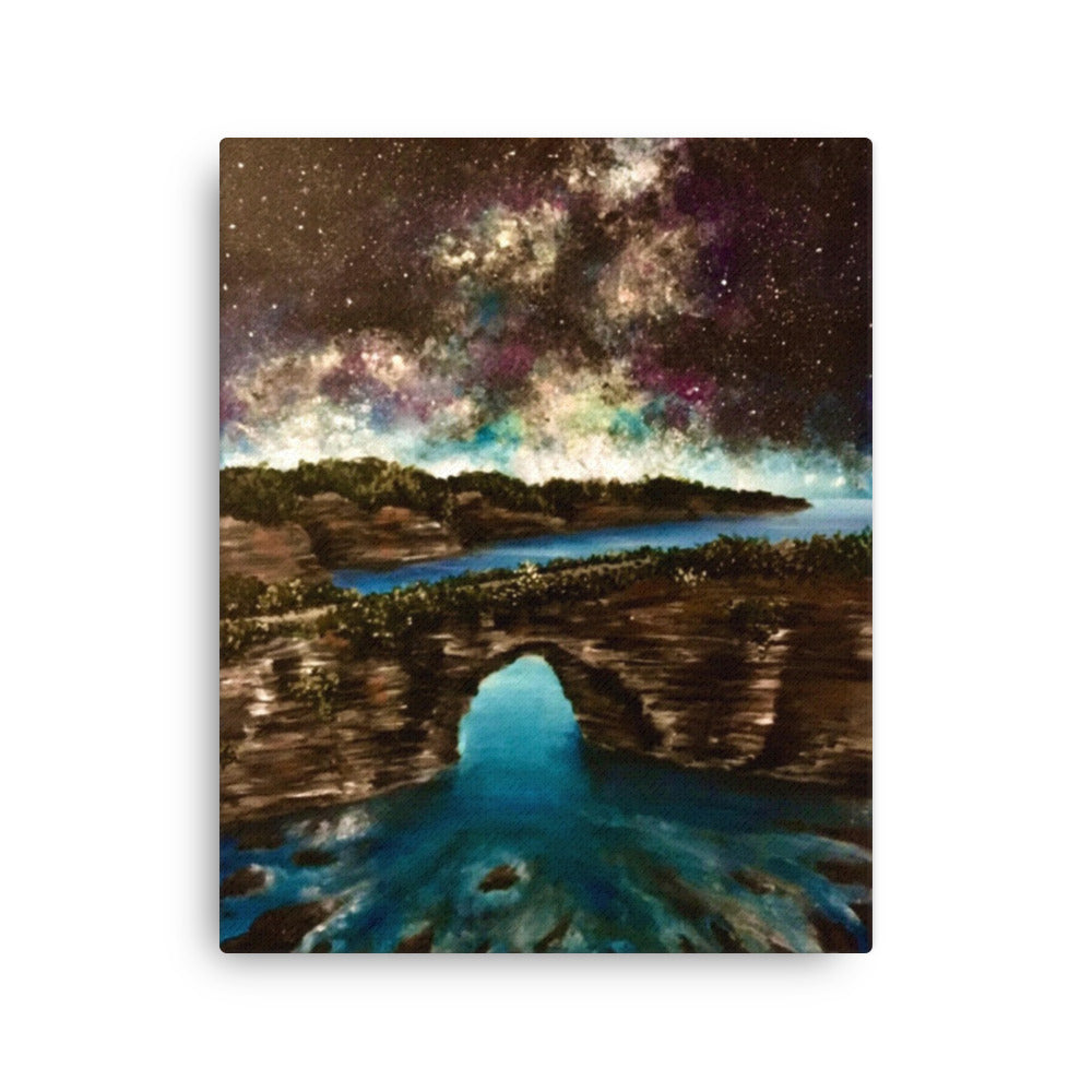 'Cosmos' canvas print