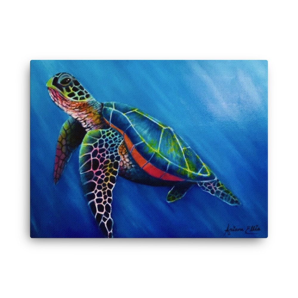 'Vibrant Turtle' canvas print