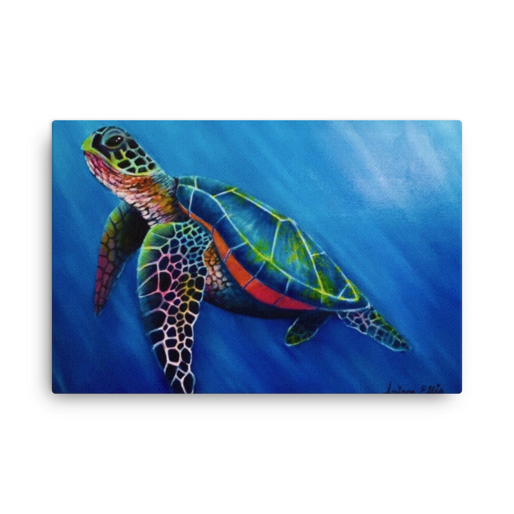 'Vibrant Turtle' canvas print