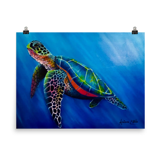 'Vibrant Turtle' matte print