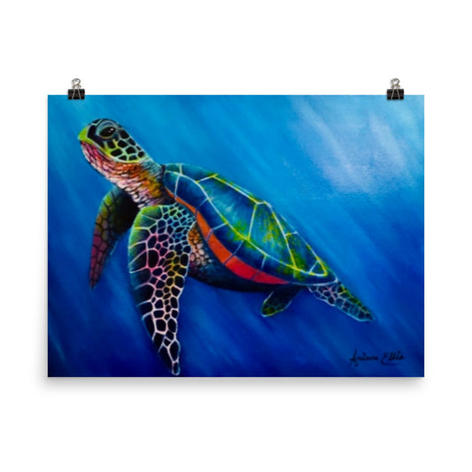'Vibrant Turtle' gloss print
